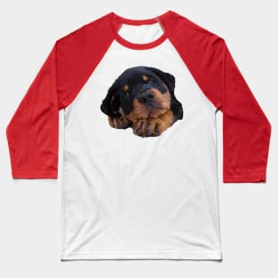 Cute Rottweiler Puppy Baseball T-Shirt